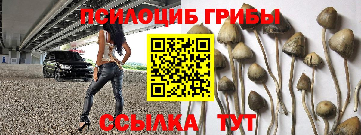 Псилоцибиновые грибы мицелий Новосибирск