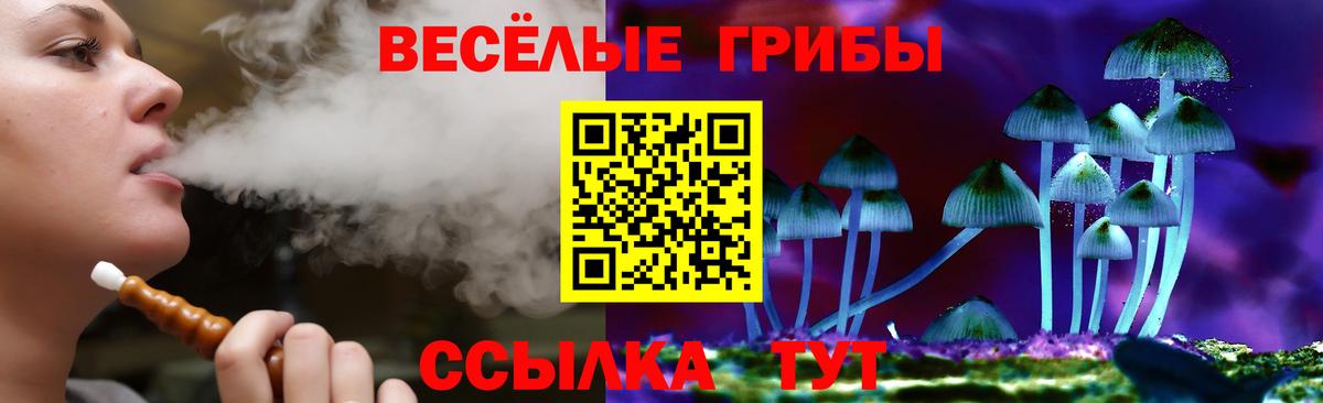 Новосибирск  Галлюциногенные грибы MAGIC MUSHROOMS  Вход с VPN 